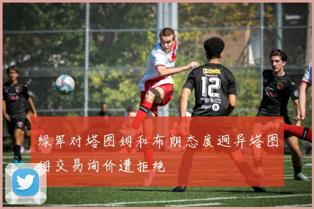 绿军对塔图姆和布朗态度迥异塔图姆交易询价遭拒绝