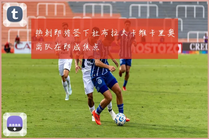 热刺即将签下杜布拉夫卡维卡里奥离队在即成焦点